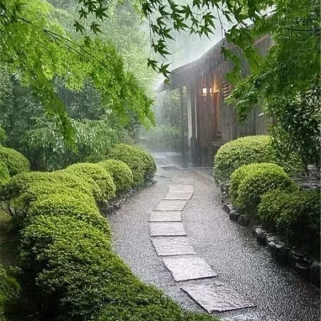 风中花雨楼