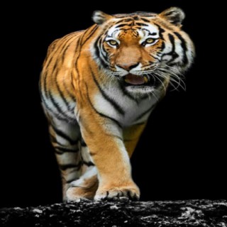 再见DJ版【只要你开心就好专属】 - 只要你开