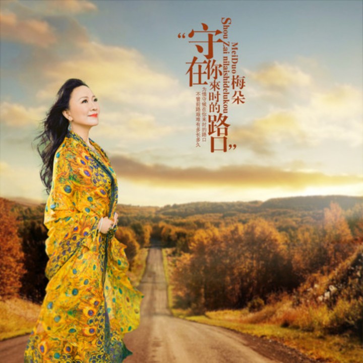 守在你来时的路口【阿海制作 合唱版】
