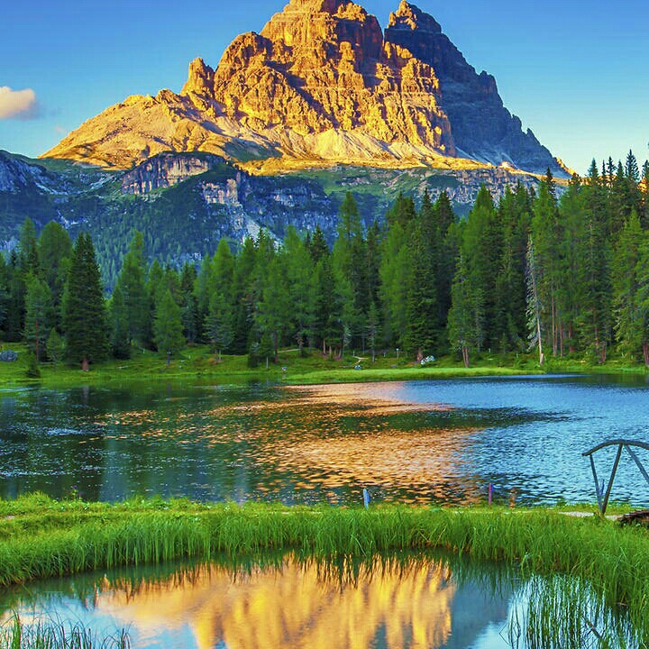 当我孤独的时候还可以抱着你