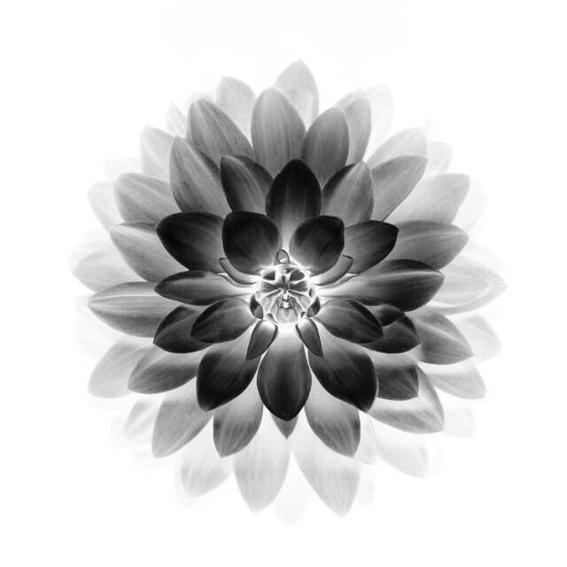 我们总是在寻找【噢No】 - 金哉六 唱吧,最时尚