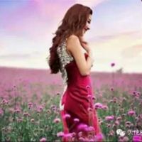 不要躲避我的眼睛 女声吉他伴奏 沧海横流【m