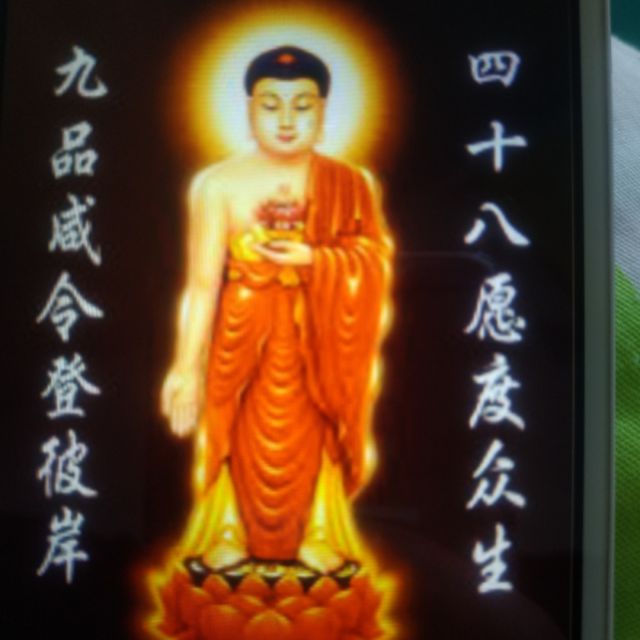 极乐世界是我家【静怡轩蝶儿制作】