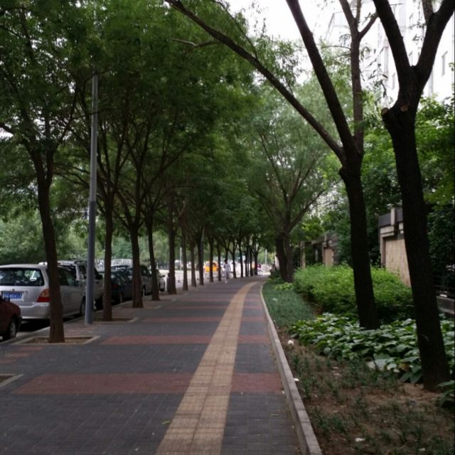 红颜劫【红颜劫甄嬛传原声伴奏】