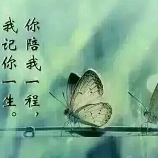 半世缘一世情