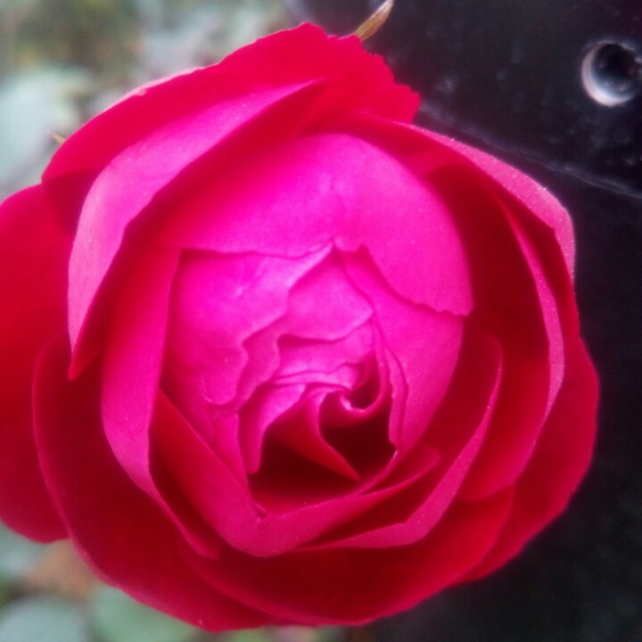 特别的爱给特别的你【DJ伴奏】