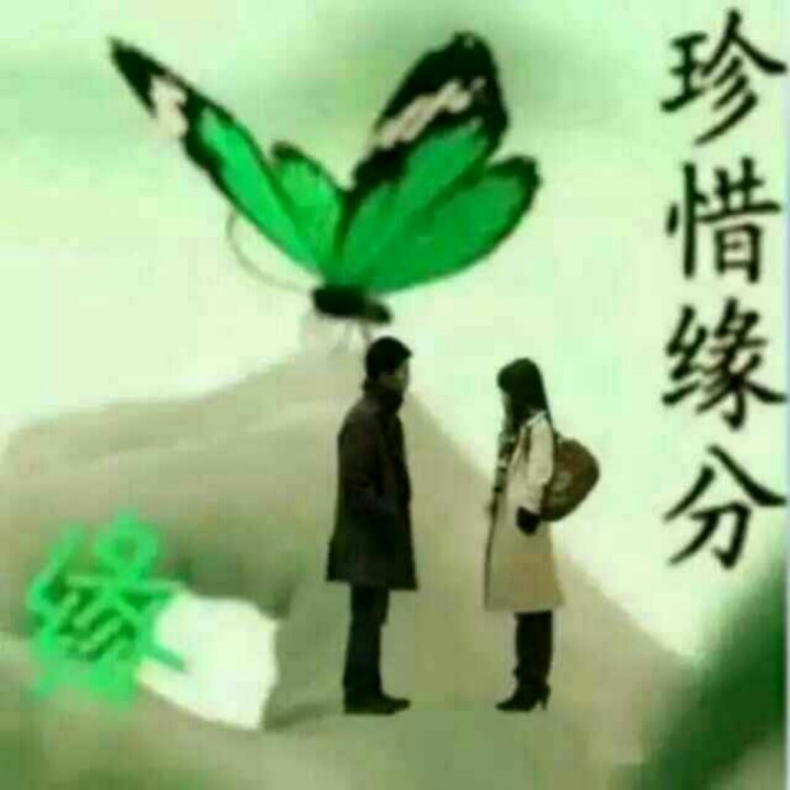 二人转 叹情缘【无忧草】 - 残燕斜飞491705 唱吧,玩