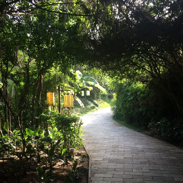 亲密的爱人 - 魔力小薇 唱吧,最时尚的手机KTV