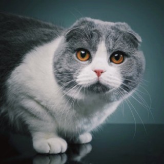 水星记【原版伴奏】 - XXXXXXXQ - 唱吧,手机