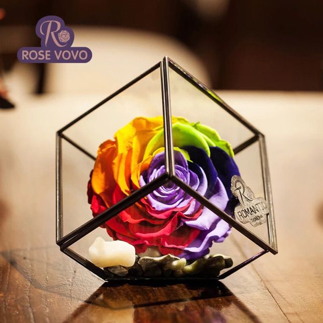 默【钢琴纯音乐Wow】 - 唱吧,听见歌声遇见你