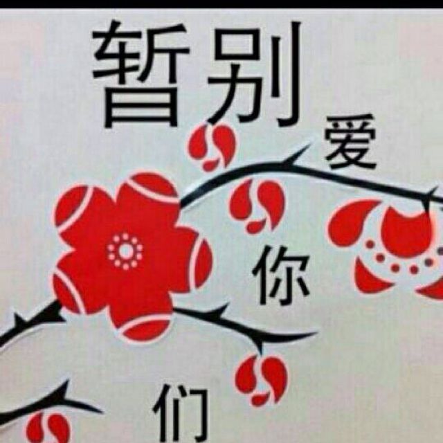 亮哥暂离