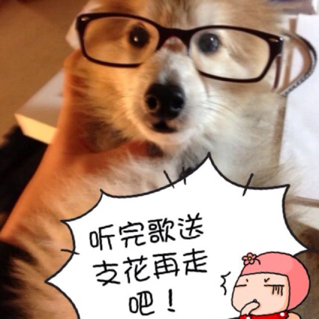 <em>挥着翅膀的女孩</em> - 晨晨cc - 唱吧,最时尚的手机<em>ktv</em>