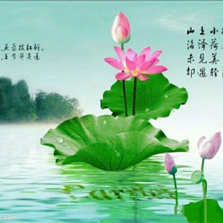 牵手情放手爱【DJ版】