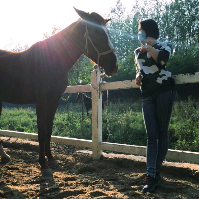 是不是爱情来过 - 阿福 唱吧,最时尚的手机KTV