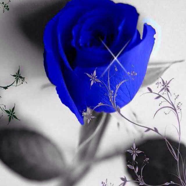 知心爱人【与付笛生合唱】 - C1233214567 唱