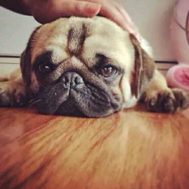 逝去的爱 - 藤藤滕. 唱吧,最时尚的手机KTV