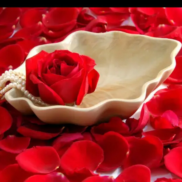 爱情主演【DJ版】