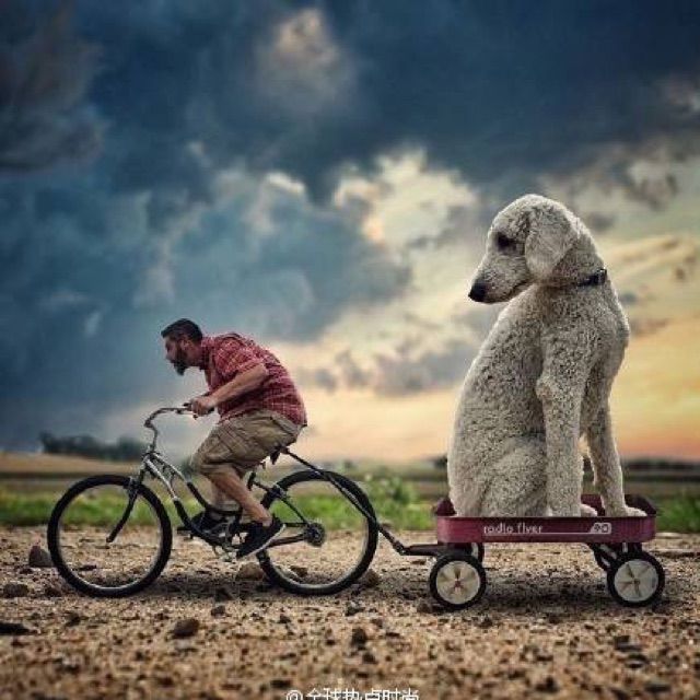 我的歌声里【人声伴奏】 - 请叫我大脚哥哥。