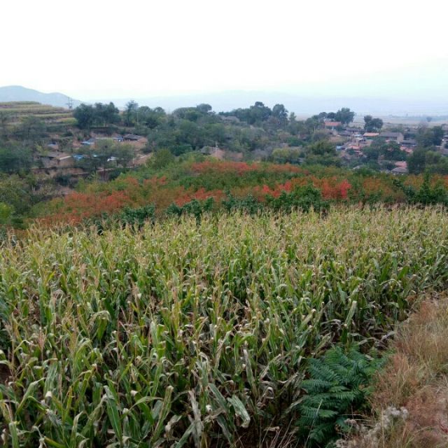 等你等了那么久 - 黑夜^_^使者 唱吧,最时尚的手