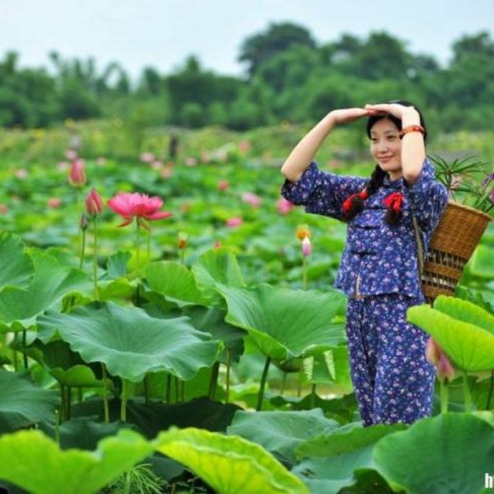 水乡新娘