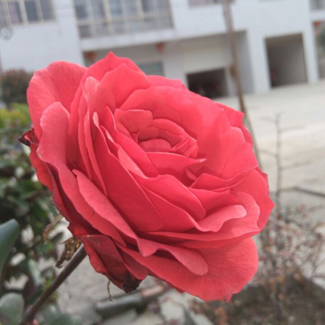 万水千山总是爱 - 零点心曲 唱吧,最时尚的手机