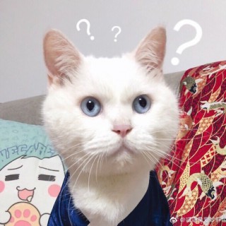 丫头 - 大男孩龙哥 - 唱吧,手机里的KTV