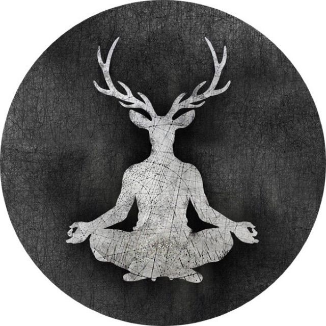 那些花儿【女声版范玮琪带字幕】 - 与印& 唱