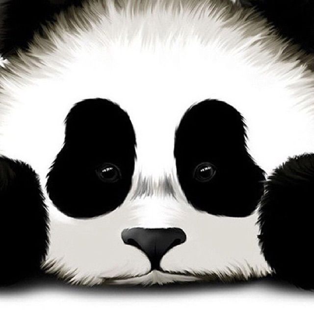 你是我的宝 - 不骑雪人的努努哥 唱吧,最时尚的