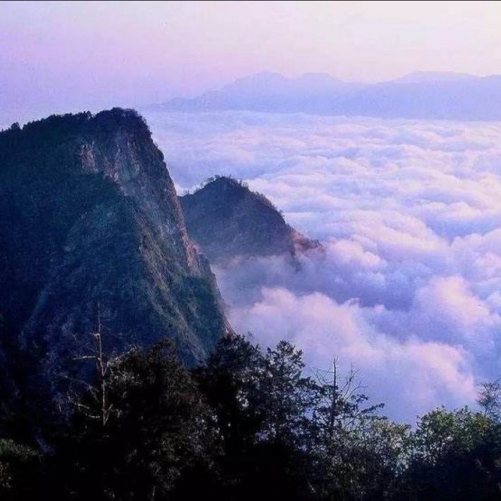 高山青