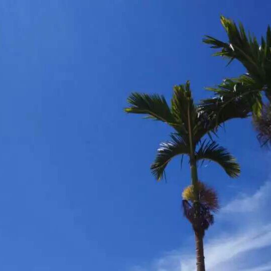 在我心里从此有个你 - 路人乙 唱吧,最时尚的手