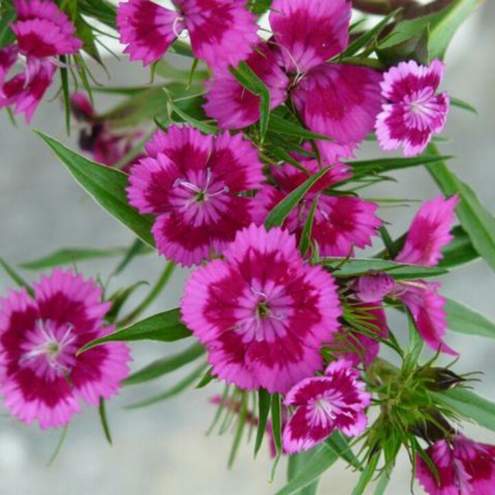 你牛什么牛【DJ版(徐杰制作)】