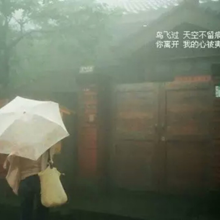 奔波风雨中【徐杰制作】