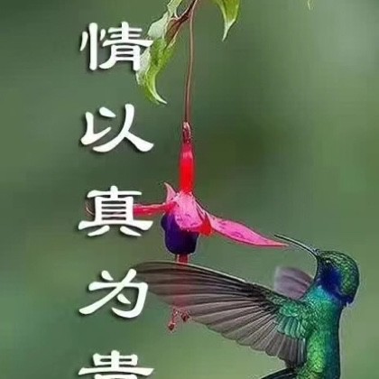 亲爱的我不能没有你简谱_亲爱的我想对你说简谱(3)