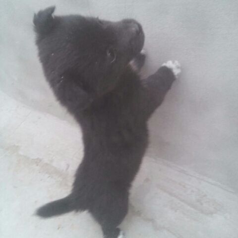 黑暗之中吻了你的嘴