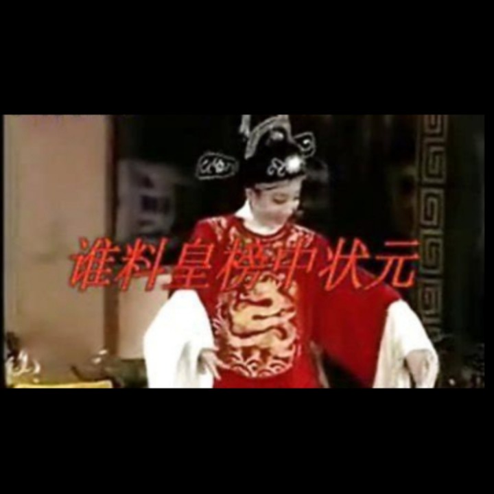 谁料皇榜中状元