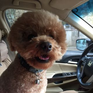 印象刘三姐插曲多谢了 - hanshuangyu1962 - 唱