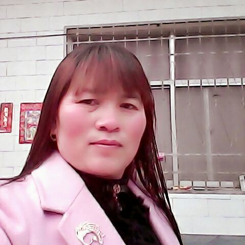 河南曲剧包公辞朝打王强【带戏词】