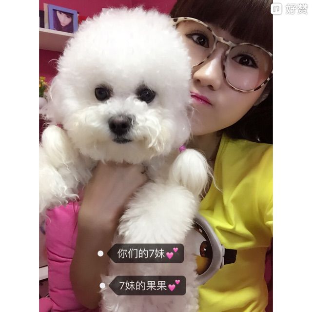 花开一度 终会败【另类】 - 你们的7妹 唱吧,最