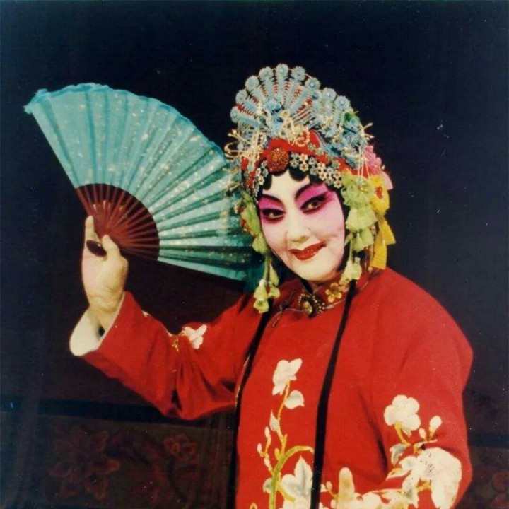 豫剧花打朝-万岁爷且息怒容我细禀【巾帼英雄