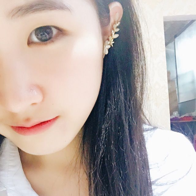 凤于九天【歌词念白版】