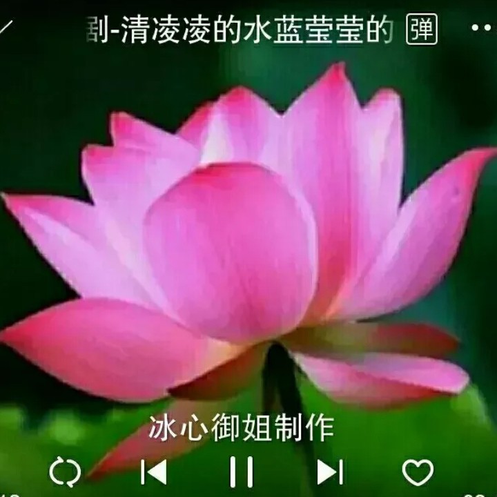 秦香莲抬头观伴奏,秦香莲抬头观伴奏张宝英