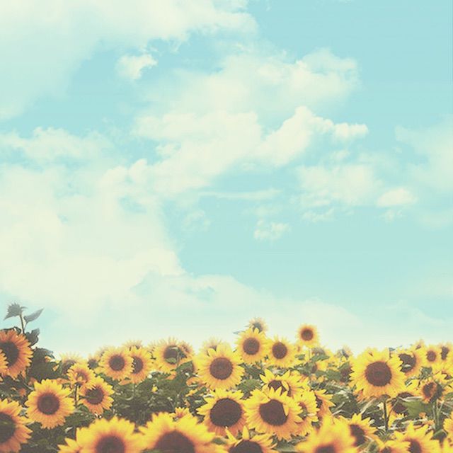 漂洋过海来看你【好声音原版立体声伴奏】 - J