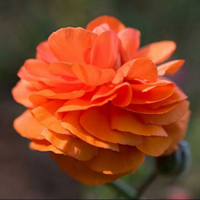 牵手情放手爱【与文杰合唱】