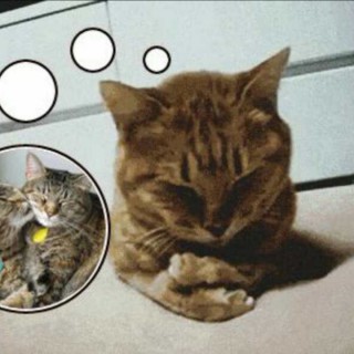 都选C【原唱】 - 不羁 - 唱吧,手机里的KTV