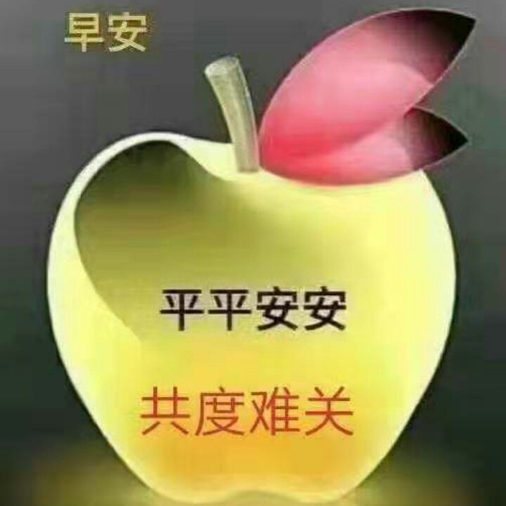 把根留住