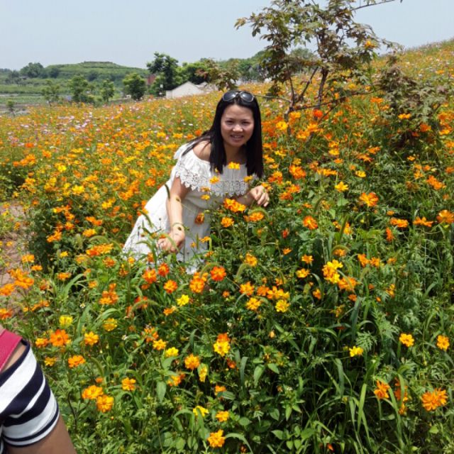 生日快乐 卓依婷