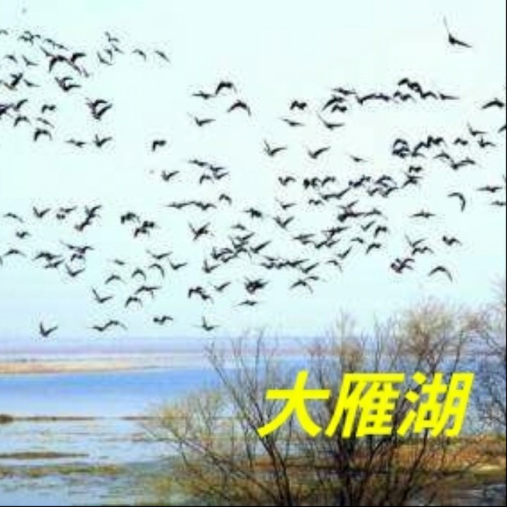 大雁湖 星璀璨79德79 唱吧