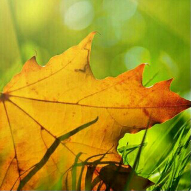 致十年后的我【中文版】