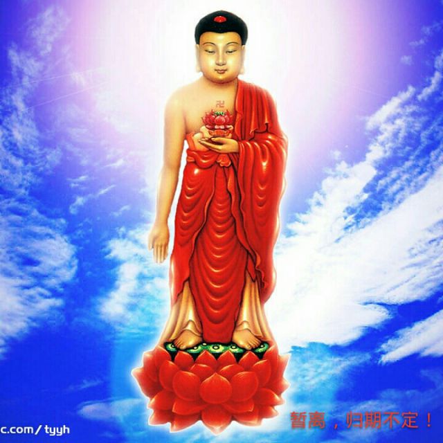 你的抱抱 - 黑猫警长红【暂离】 唱吧,最时尚的