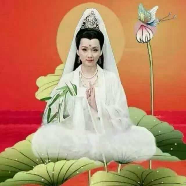 豫剧《英娘》望天际雁南归(伴奏)【党玉倩】 -